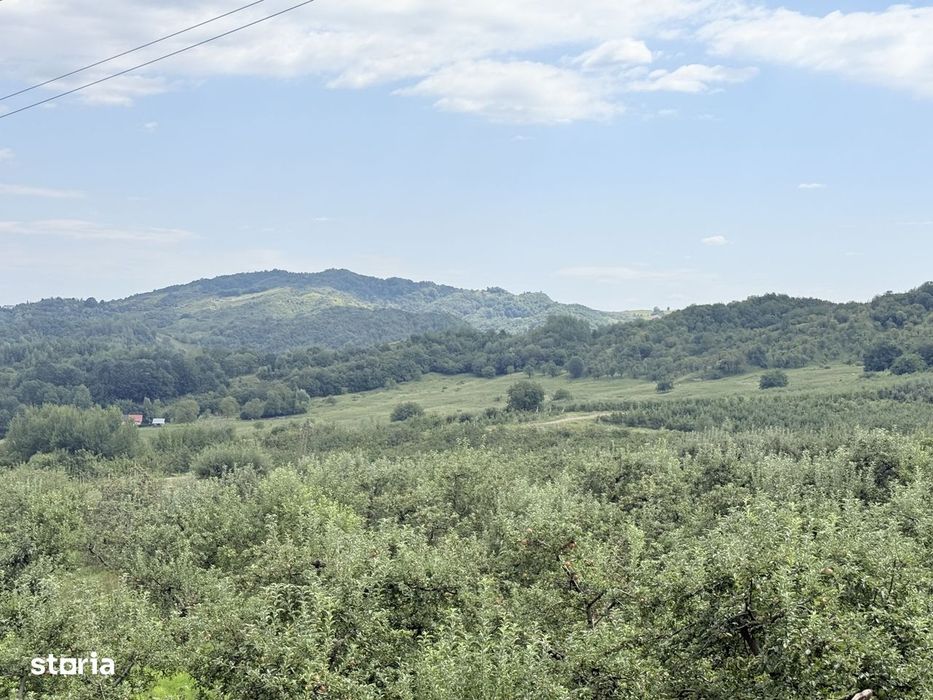 Teren intravilan 2771mp, cu livadă de meri, Breaza - Livada lui David