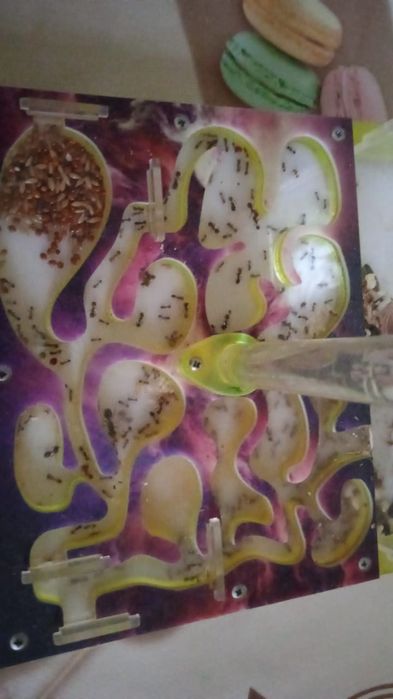 Фармикарий пустой