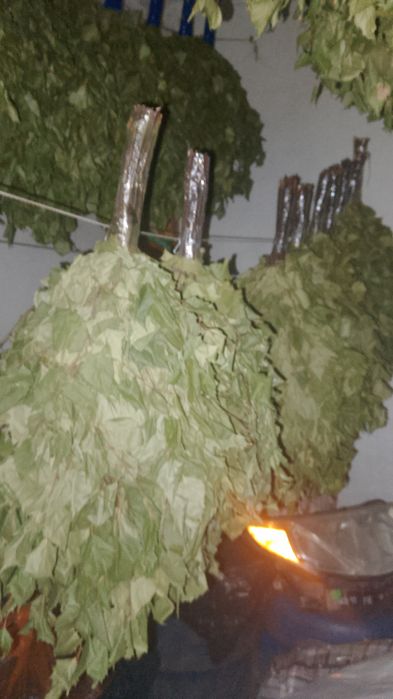 Продам берёзовые веники