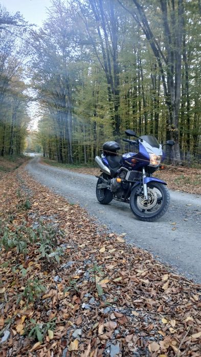 Vand Honda Hornet