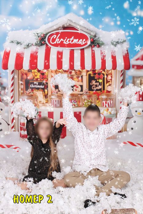 Големи Коледни Студийни Фонове 300х200 см