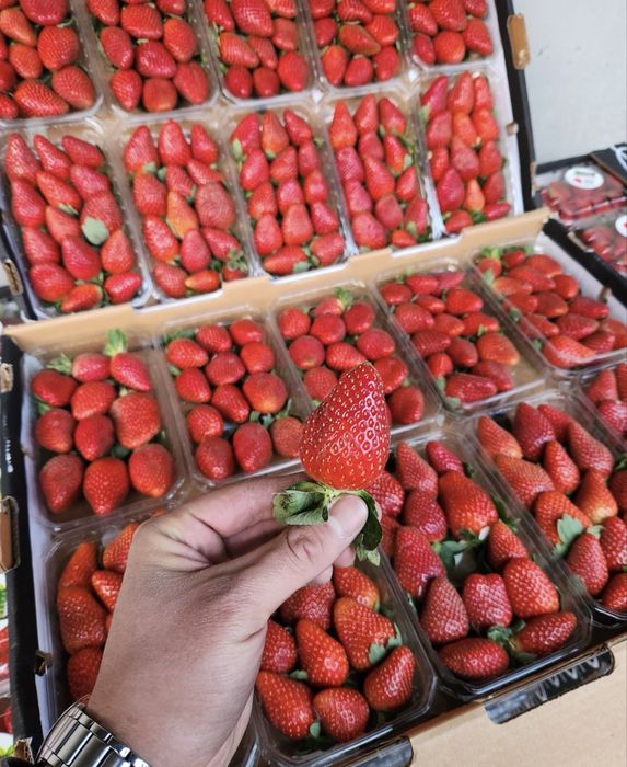 Египетская клубника