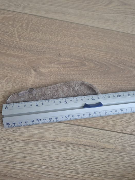 Bisgaard 26 ghete imblanite