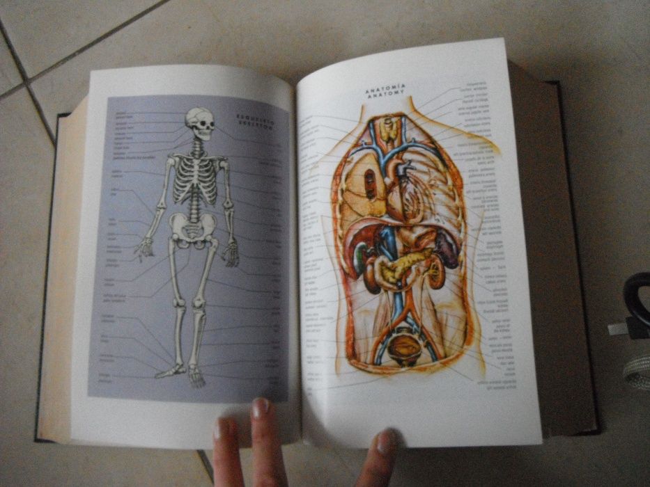 Речник чуждоезиков - Larousse