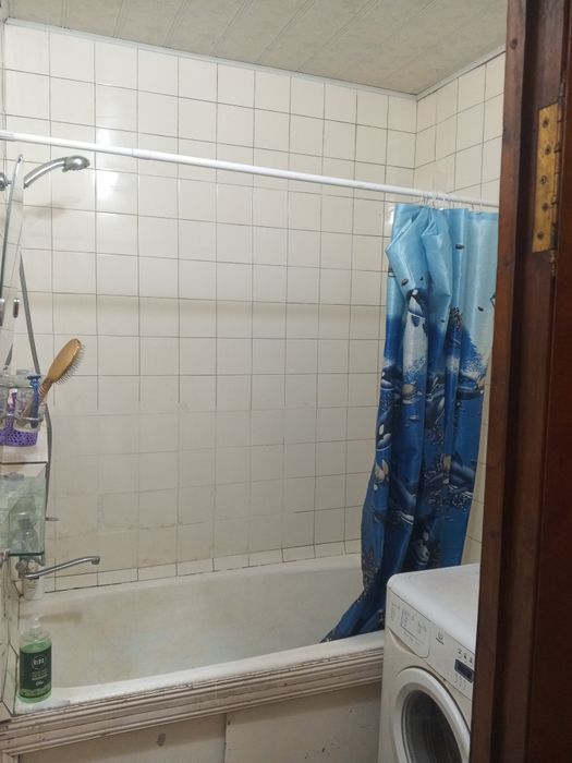 Ijaraga 1 ta student bola sheriklikka olinadi