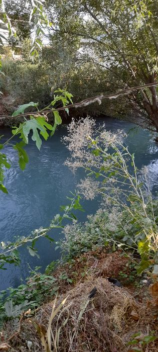 Ховли санатория бустон