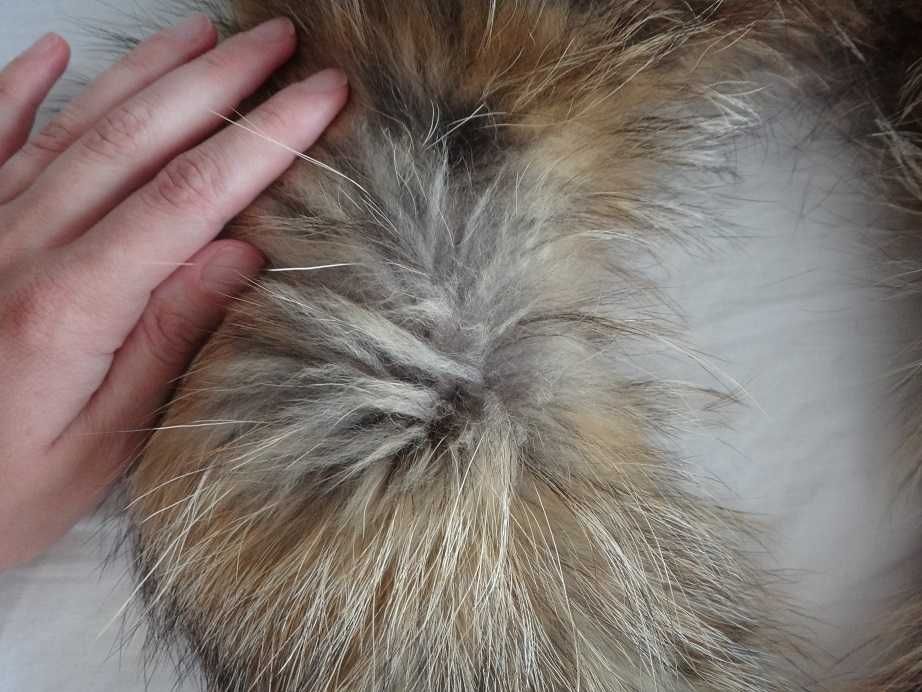 Яка от естествен косъм лисица