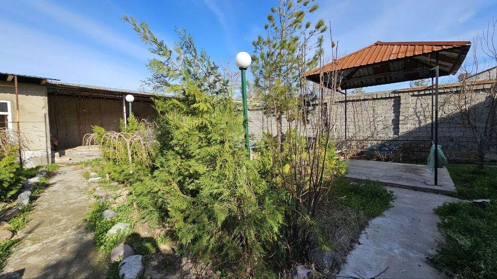 Dacha sotiladi 6 sotik