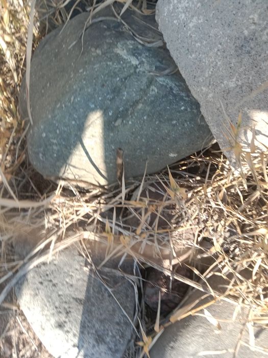 Камень бутый  5000тг