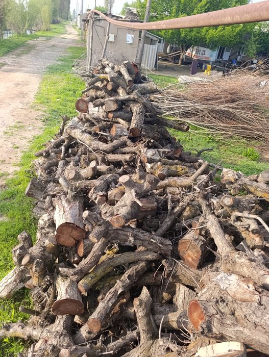 Oʻtin sotiladi. 2 isuzilar chiqadi. Toshkent viloyati Quyi Chirchiq