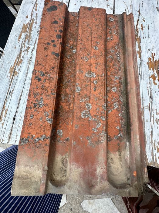 Țiglă Mondial , Muschong, Olane