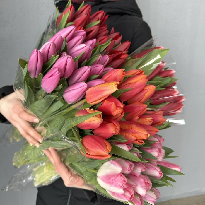 Большие Тюльпаны