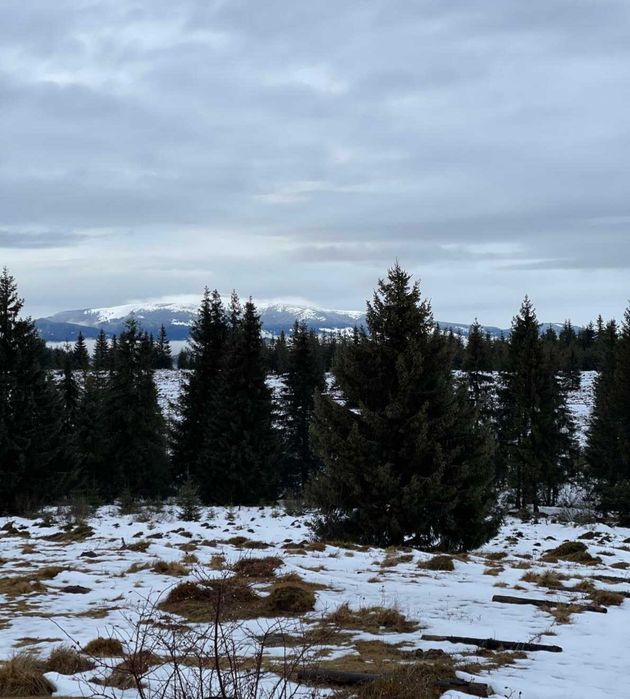 Teren de vanzare, zona Belis, extravilan, 4279 mp
