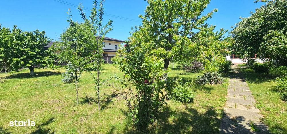RARA AVIS! Teren 1550 mp, deschidere 31 m, zona Ferme, Otopeni