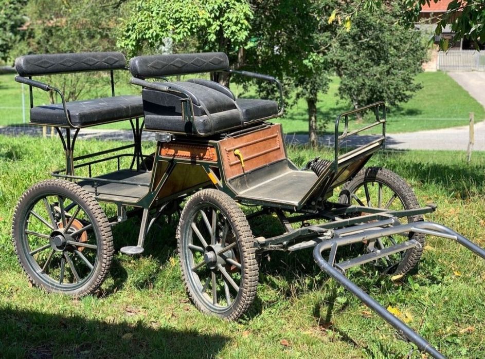 ‼️Trăsură cai de vânzare, maraton, adusă astazi din Germania ‼️