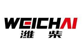 Двигатель WEICHAI на заказ