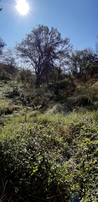 Продава се Парцел в с. Златуша, Област София-област - 725 кв.м за 17 €/кв.м - Снимка #5