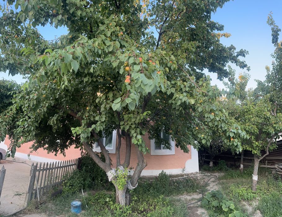 Улица Максота Танкыбаева