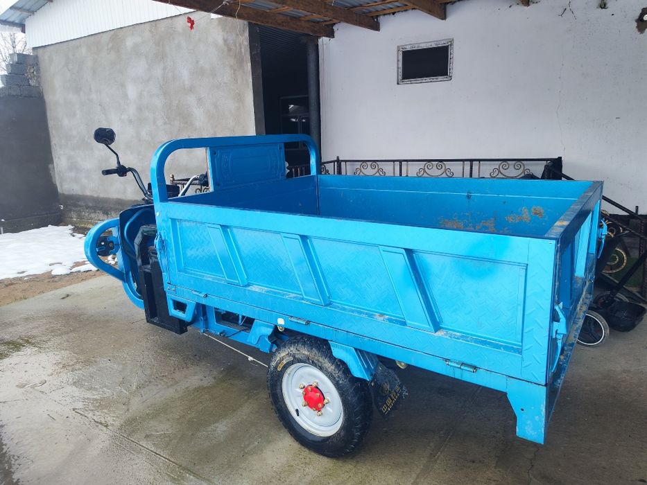 Электр муравей сатылады