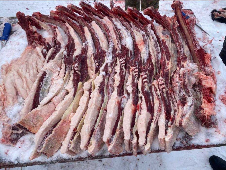 Согым конина из Костанайской области (Узунколь)