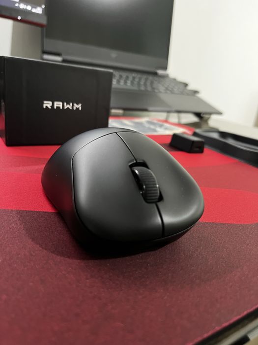 Mouse gaming wireless RAWM ER21 PRO