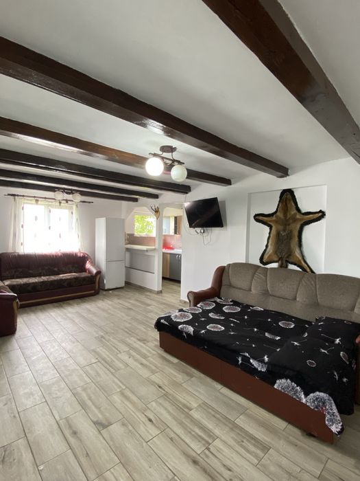 Cabana de inchiriat Baile Figa