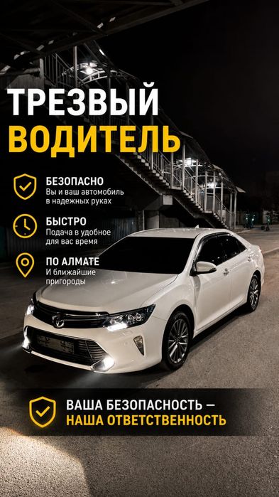 Трезвый Водитель