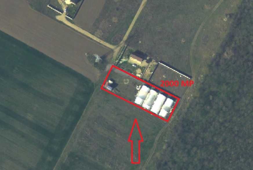 Teren/sere VANZARE 2000 MP Măgurele | Bucuresti CONSTRUCȚII/INVESTIȚIE