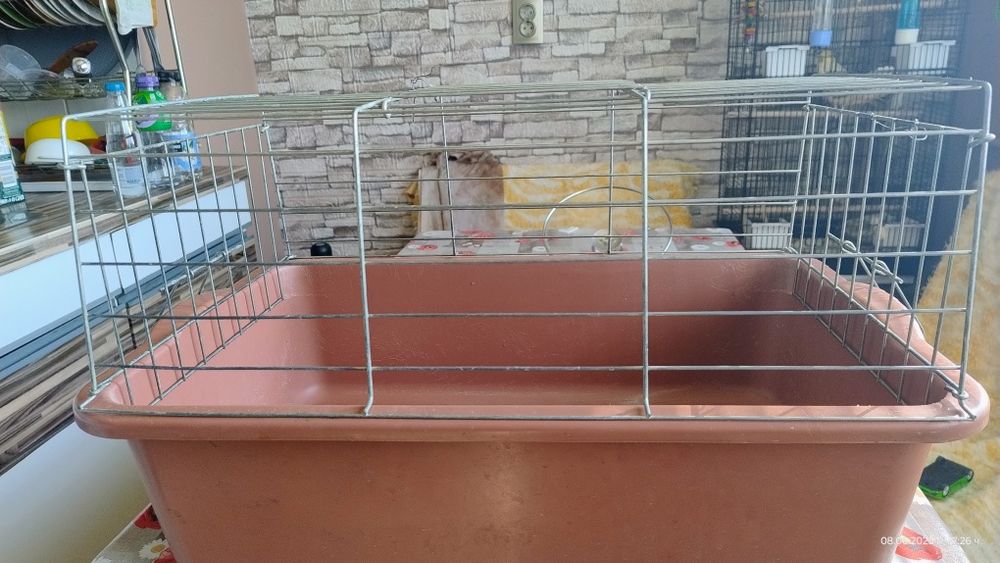 Клетка за зайче,морско свинче