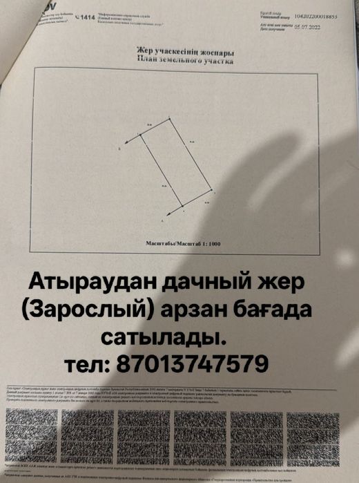 Срочно продам дач землю