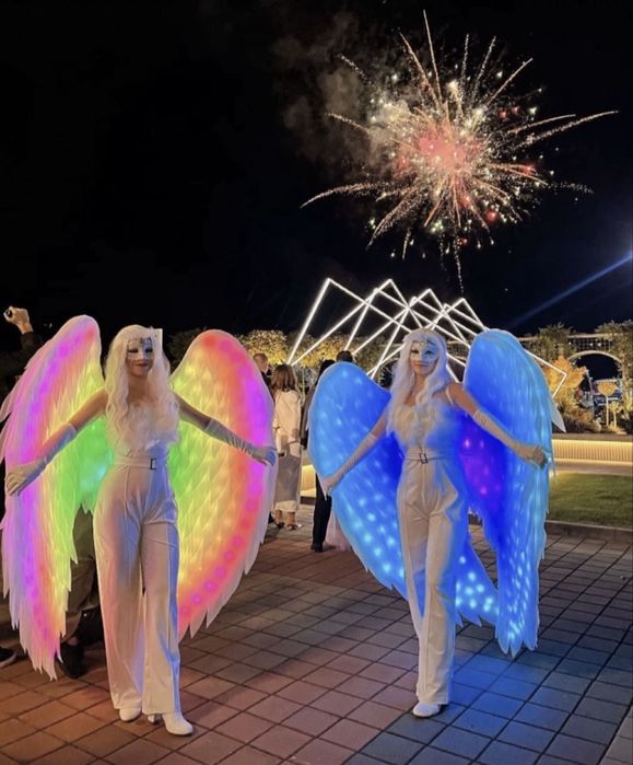 Artificii exterior pentru diferite evenimente Nunta Party majorate