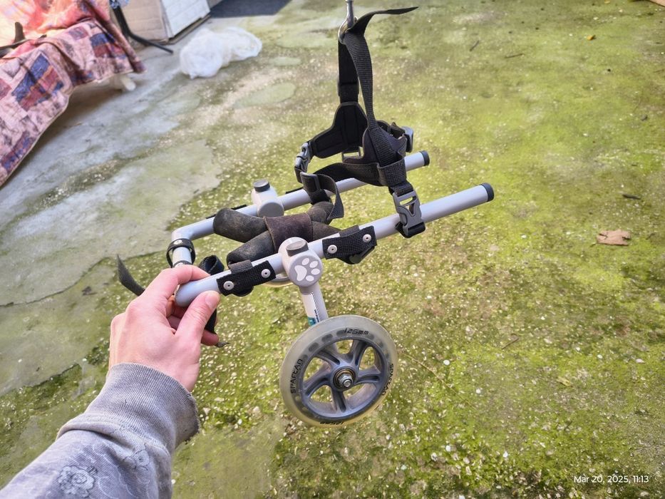 Инвалидна количка за малко куче / 10кг