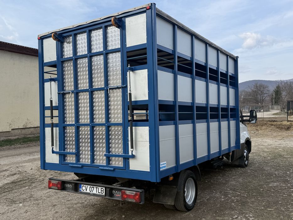 Iveco Daily cub transport animale vii