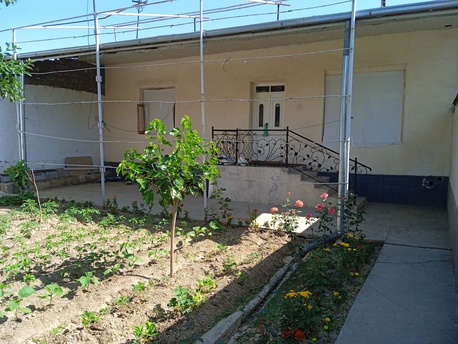 Hovli sotiladi oltin tepada