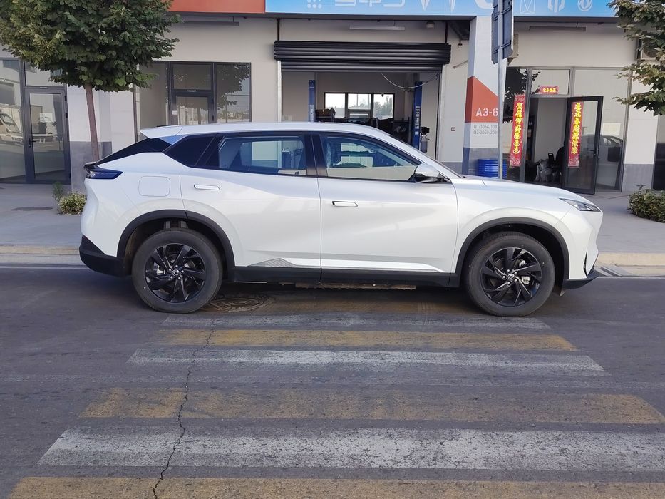Dongfeng sky ev 01
