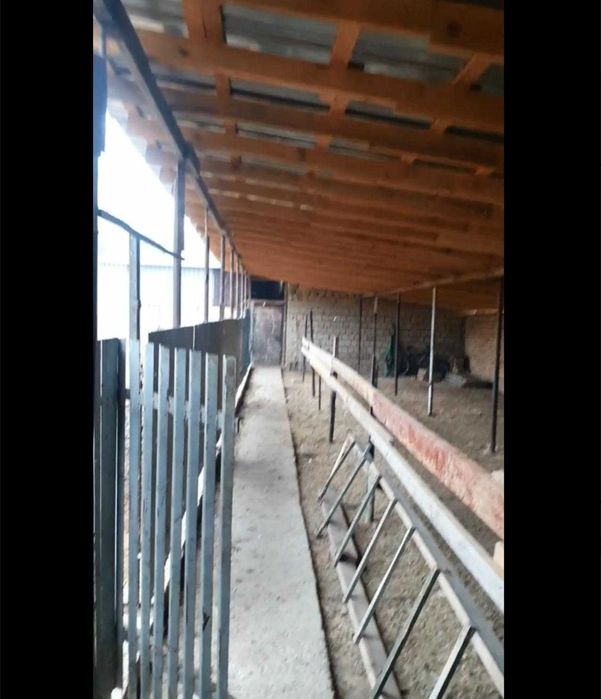 продается Ферма  для скотоводство в пос. Джалаир. Город Чирчик.