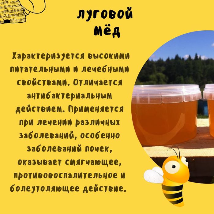 Продажа мëда оптом