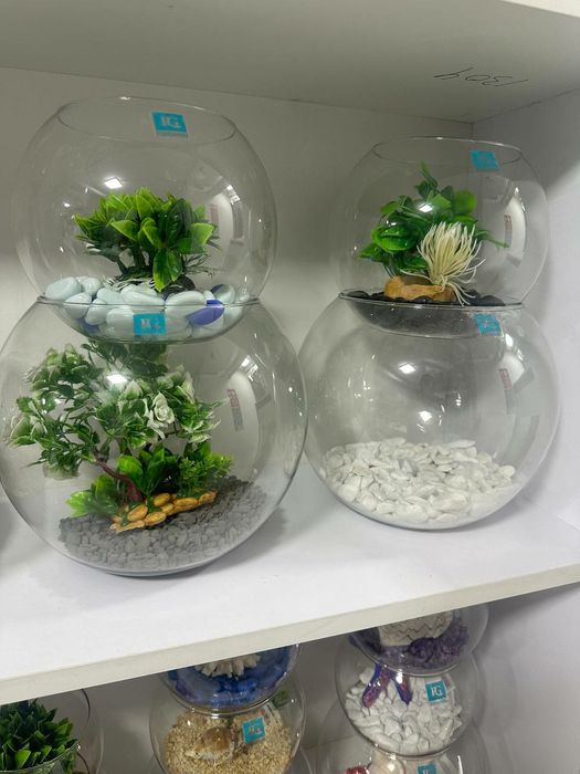 Круглый Аквариум