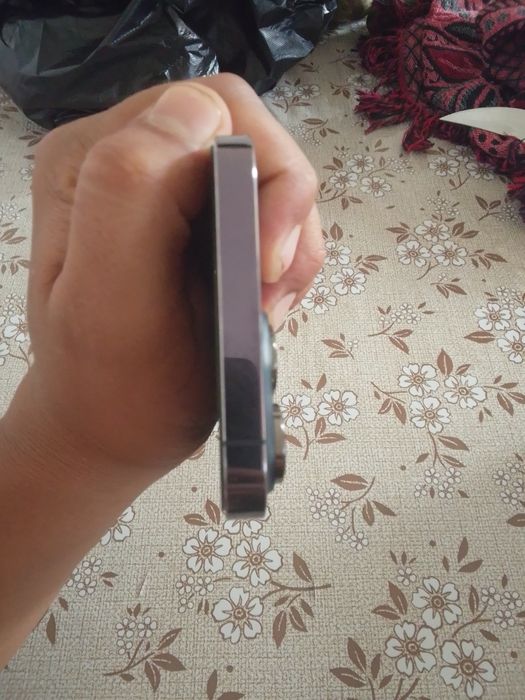 iPhone 14 Pro Max 256 GB