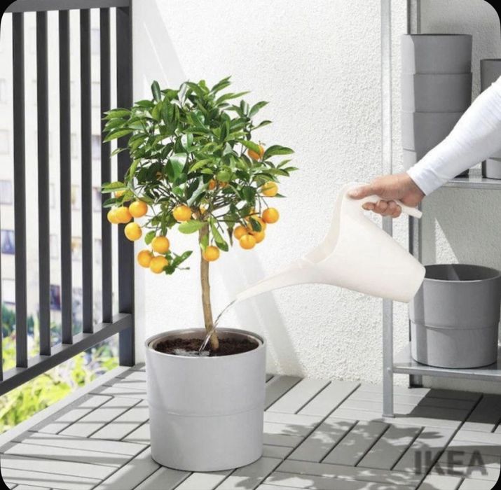 Лейка для растений /цветов