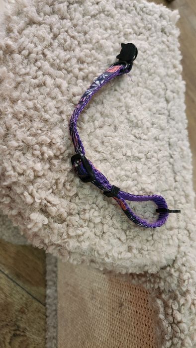 Когтеточка для котят