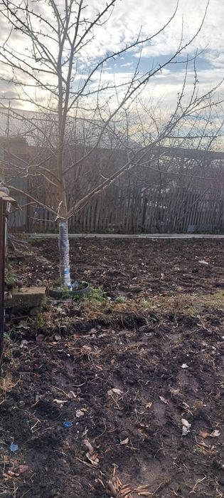 Продам дачный участок