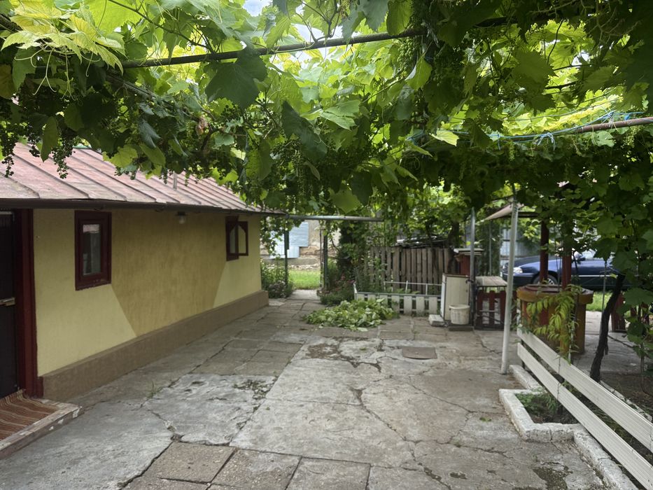 Casa de la tara