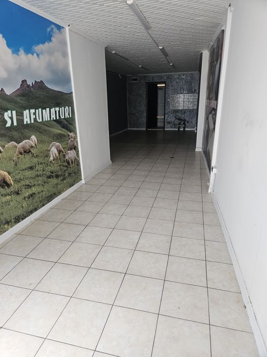 Spatiu de inchiriat pe Petre Ispirescu