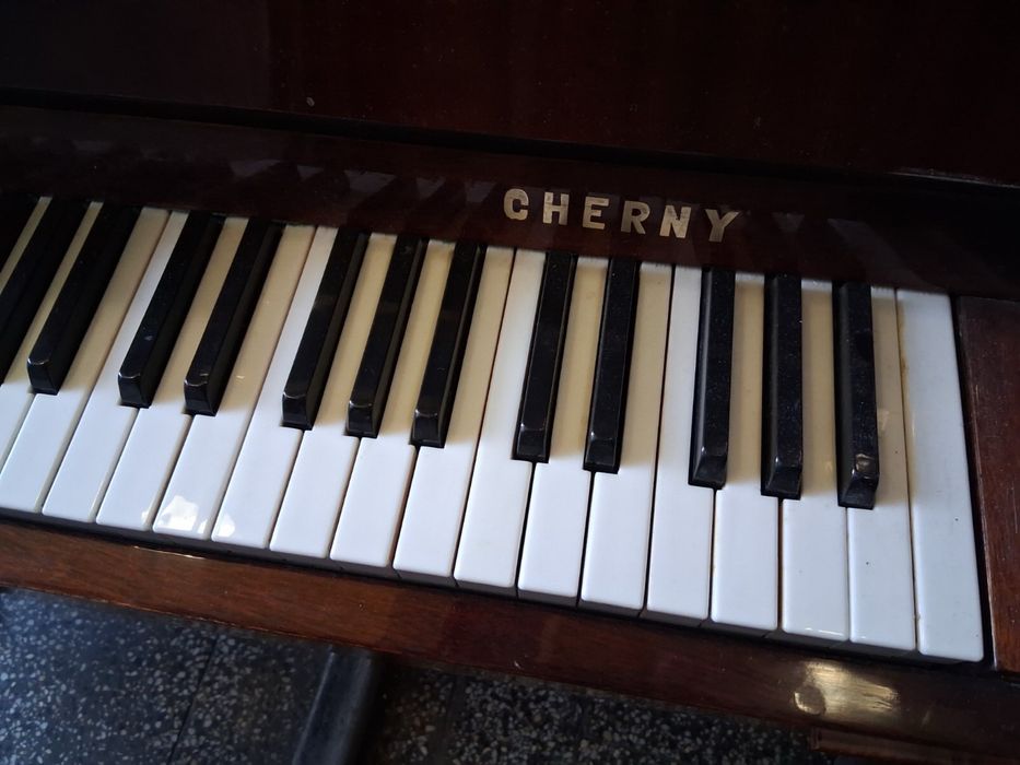 Пиано Cherny Cherny