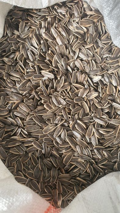 Семечки подсолнуха черные оригинал