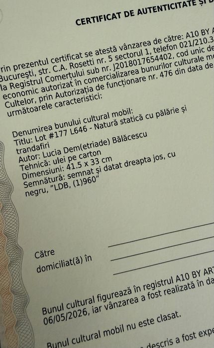 Pictura originala Lucia Dem(etriade)Balcescu cu certificat