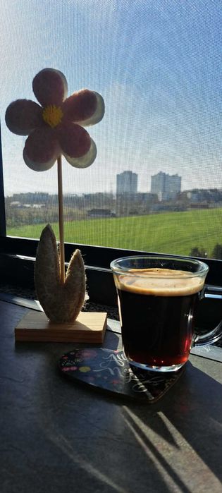 Apartament  de inchiriat