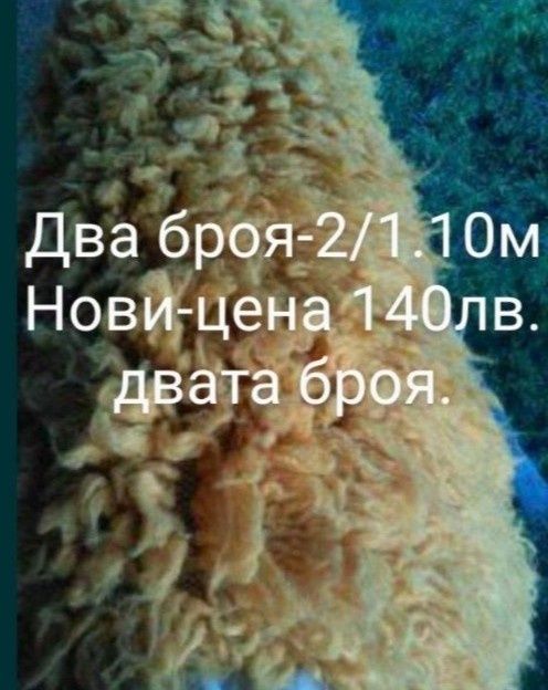 Персийски и плюшен килим, китеници, пердета..