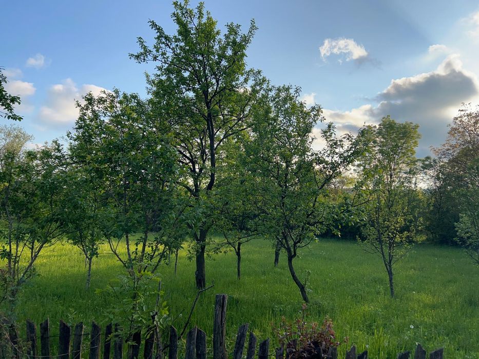 Teren de vânzare Brebu cartier vile 48€/mp